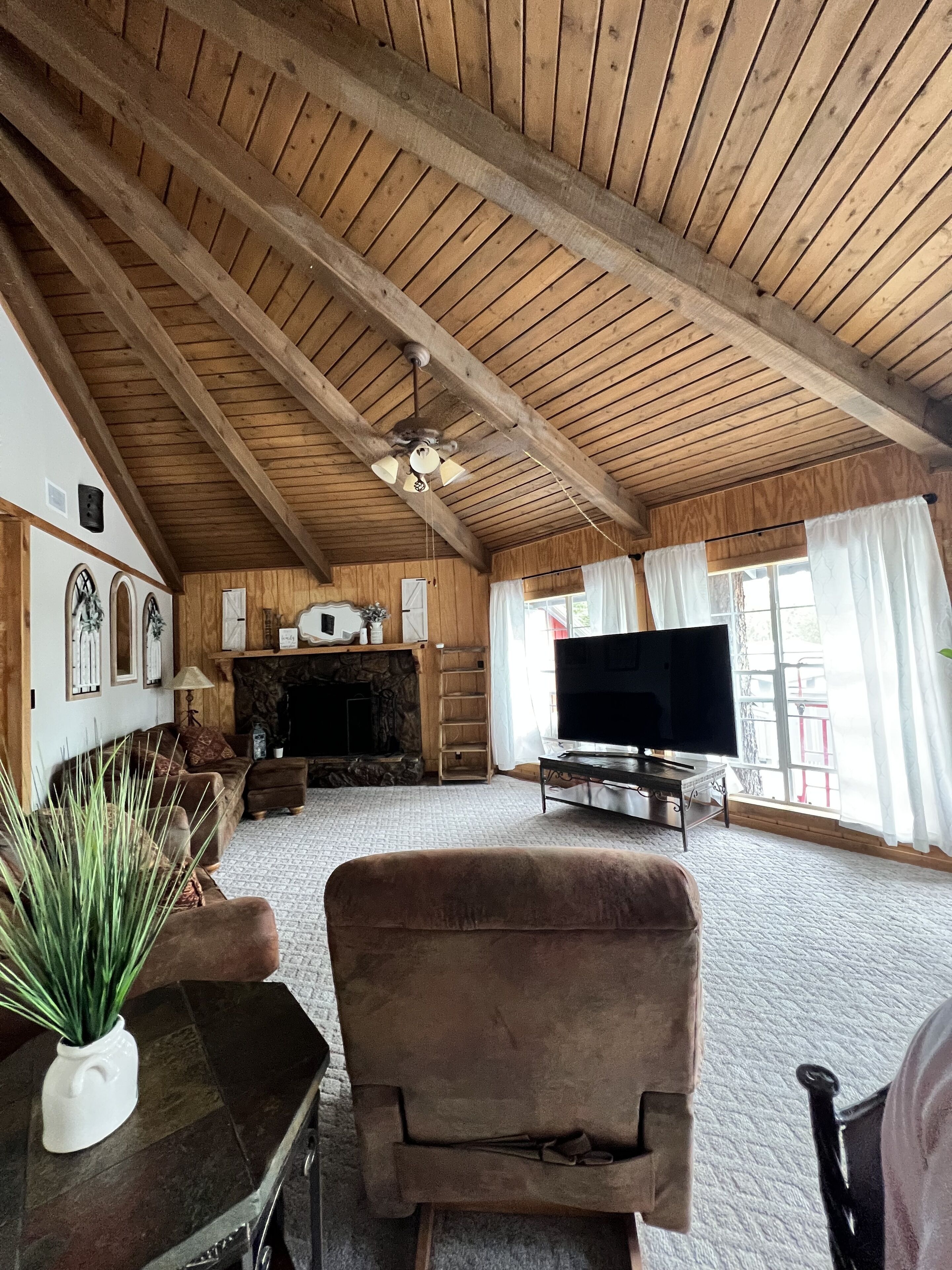 Smart TV, fireplace, video games, books