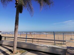 Playa en los alrededores 