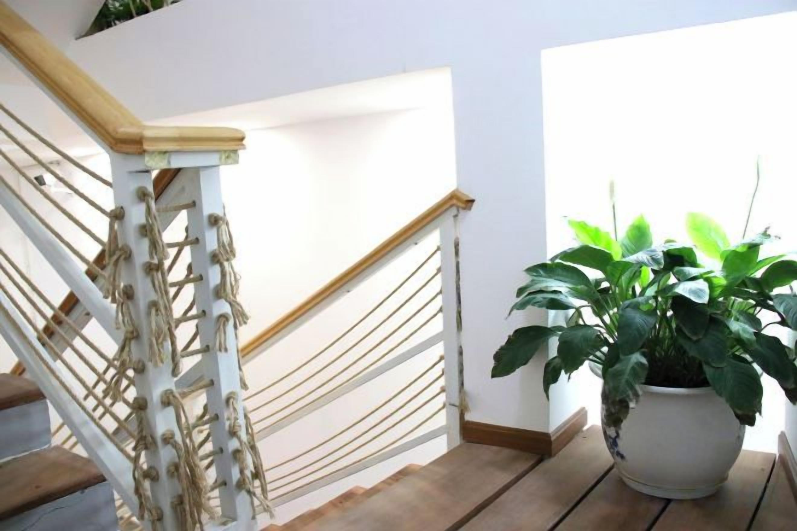 A staircase with a white handrail and a potted plant on the landing.