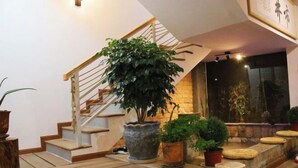 Uma escadaria com corrimão de madeira e degraus, cercada por plantas em vasos e objetos decorativos.