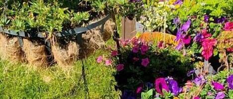 外观细节