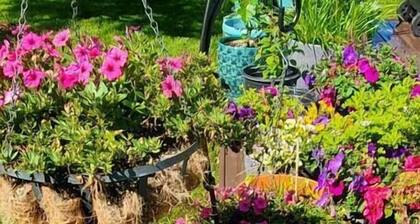 Luxury DT Cottage - Free Parking - Self Check-In