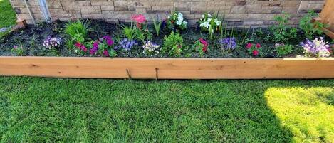 Un jardín elevado con una variedad de flores y plantas coloridas, un borde de madera y un muro de ladrillo al fondo.