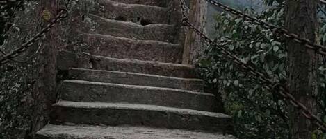 A set of stone steps leading up a mountain path, surrounded by chains and vegetation.