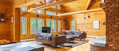 Smart TV, fireplace, video games, DVD player