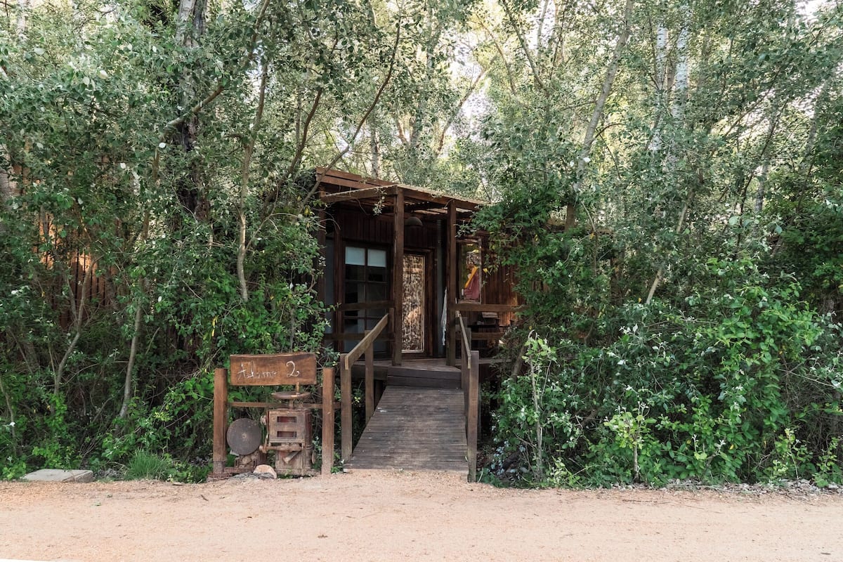 A rustic wooden structure with a staircase leading to a door, surrounded by dense foliage.