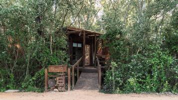 Alamo 2 | Garden view