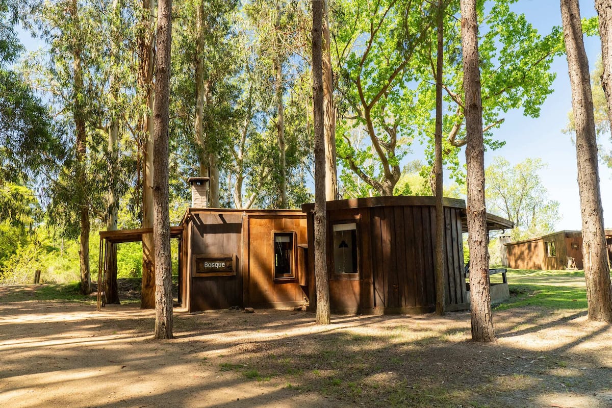 A rustic wooden cabin with a chimney, surrounded by tall trees in a forested area.