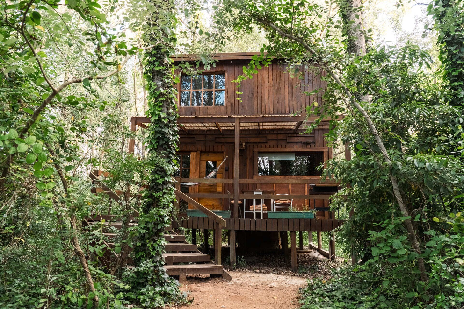 Alamo 4 | Terraza o patio