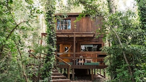 Una cabaña de madera con una escalera que lleva a una terraza, rodeada de un bosque denso.