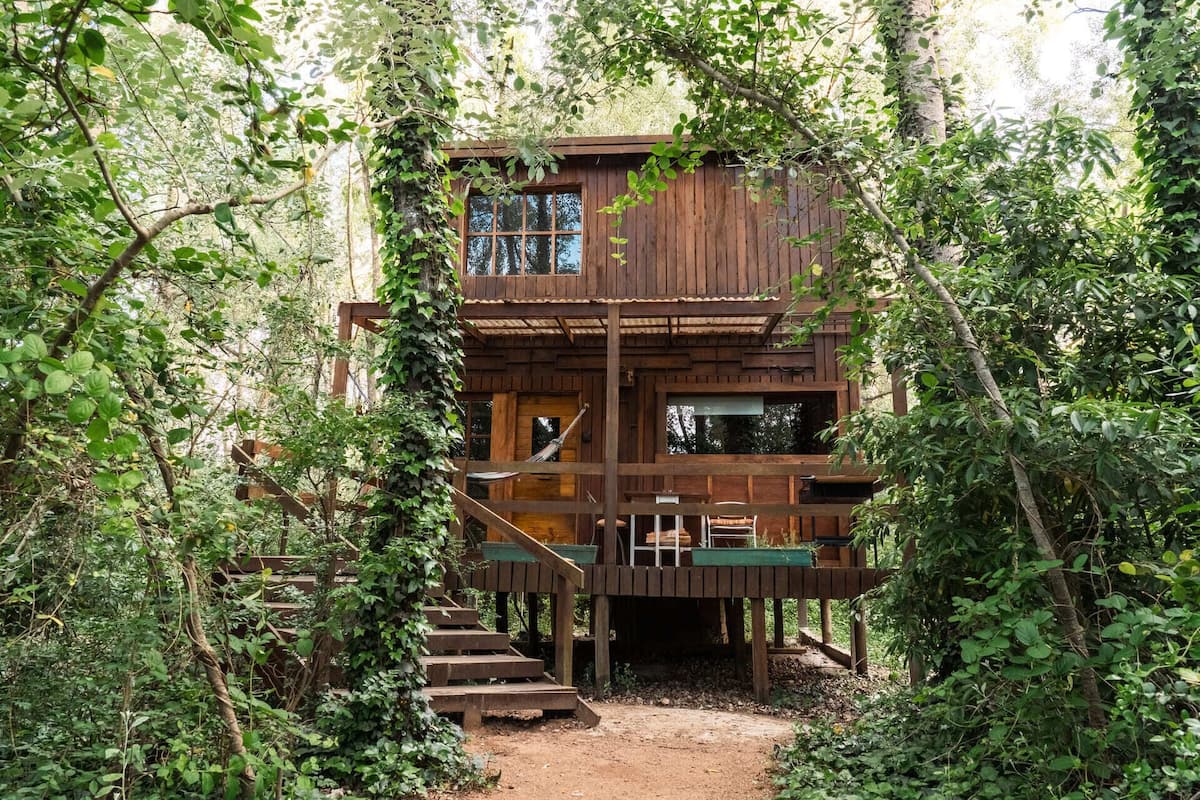 A wooden cabin with a staircase leading to a deck, surrounded by dense forest.