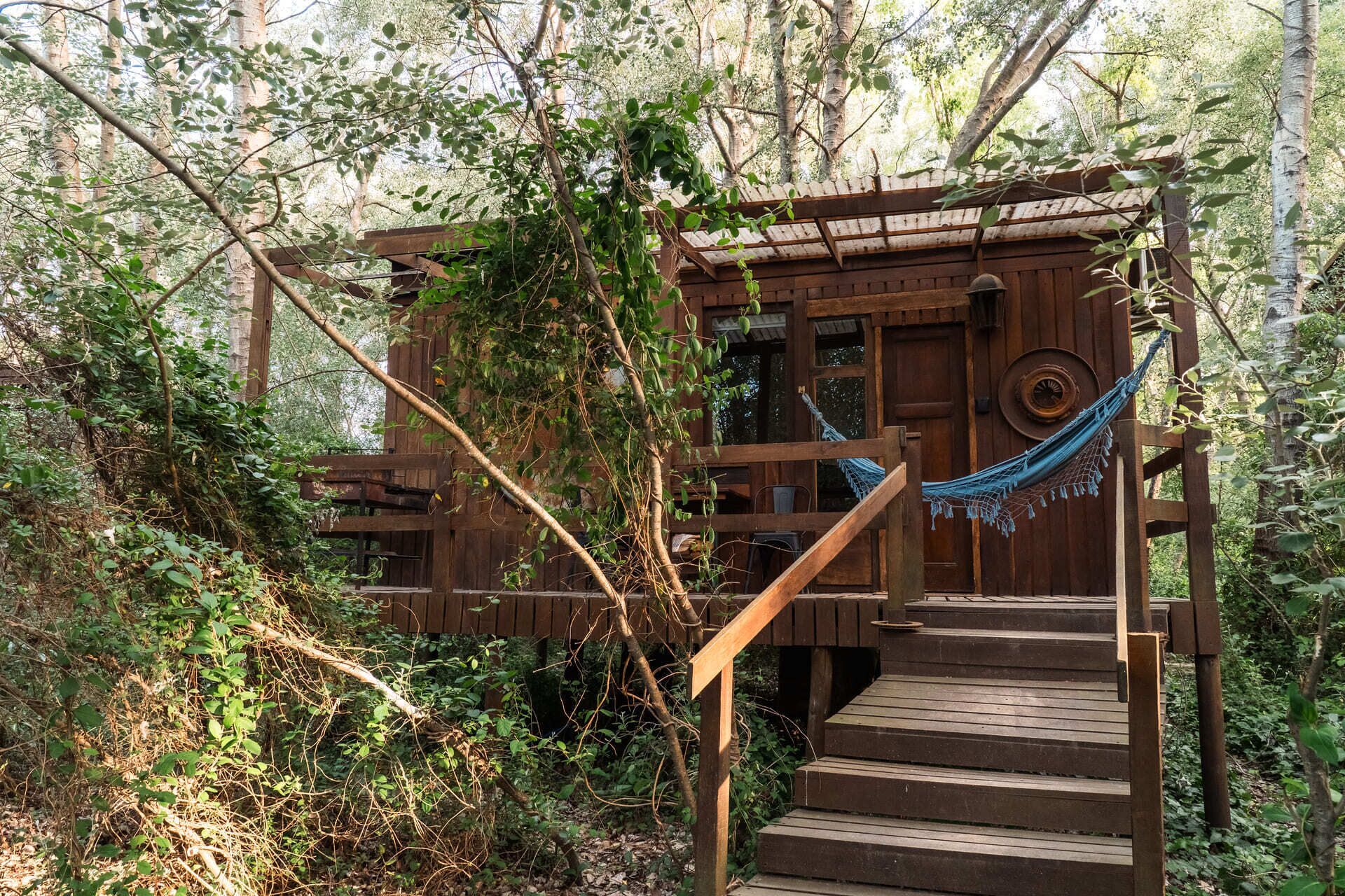 Una cabaña de madera con una hamaca, rodeada por un bosque frondoso.