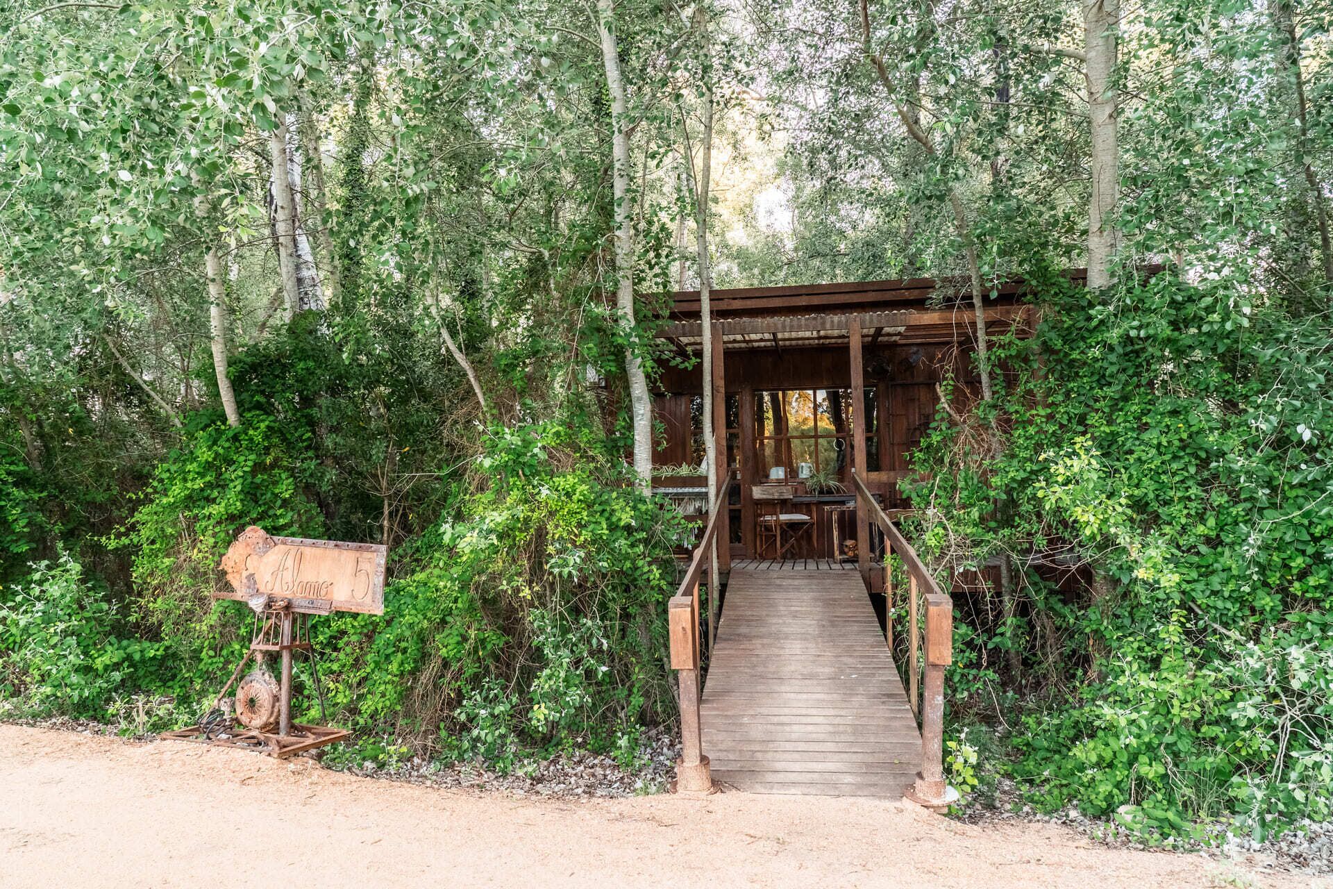 Alamo 5 | Garden view