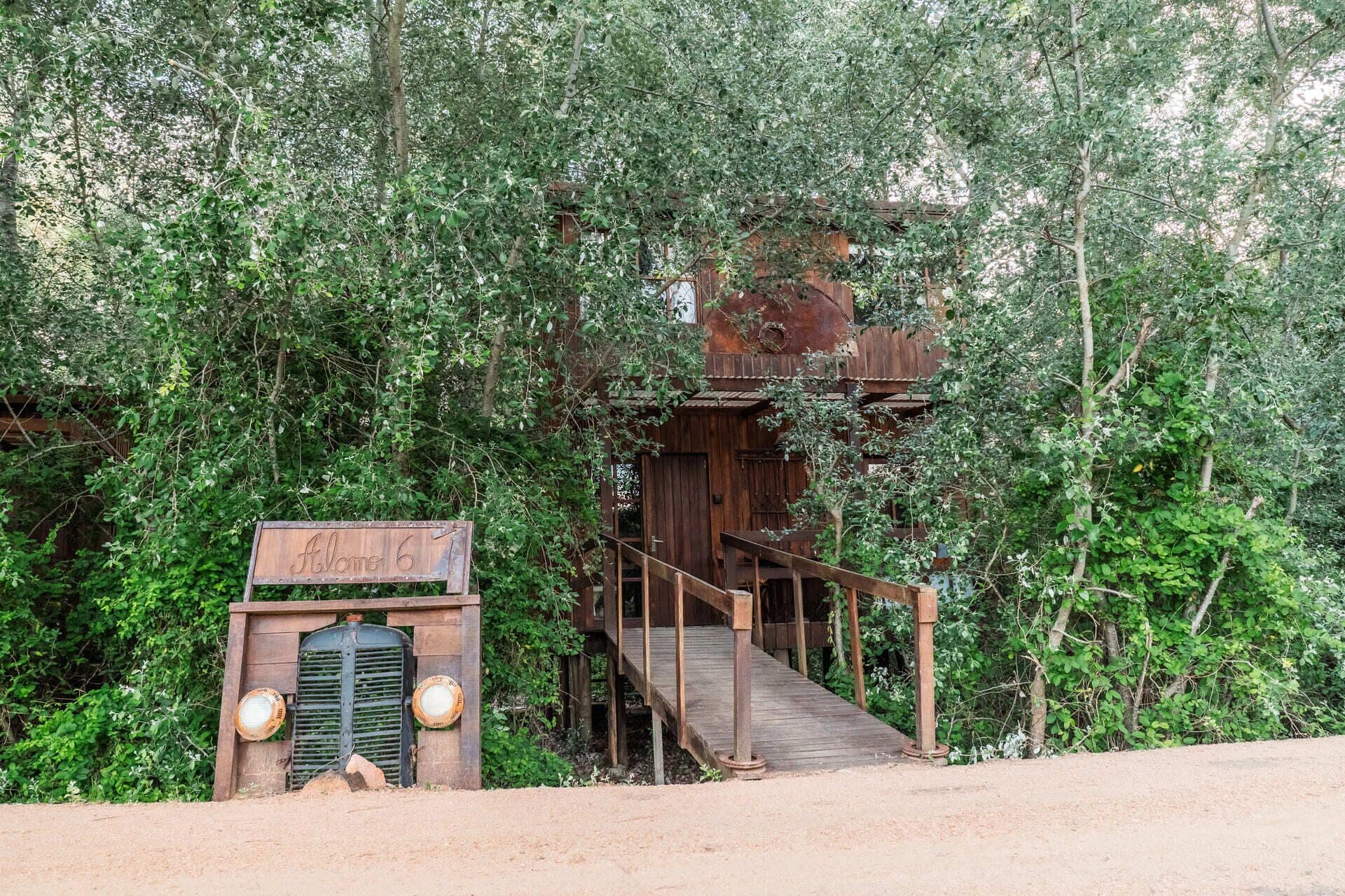 Alamo 6 | Garden view