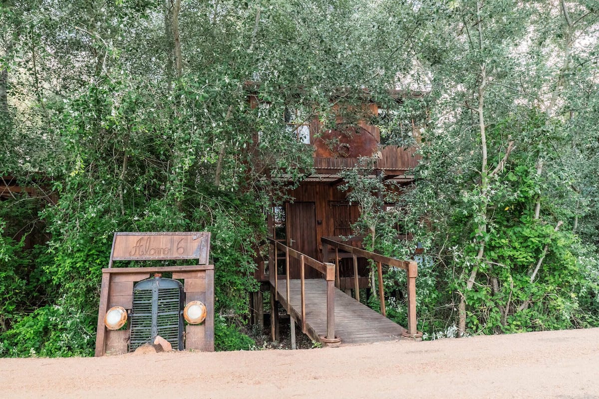 Alamo 6 | Pemandangan taman