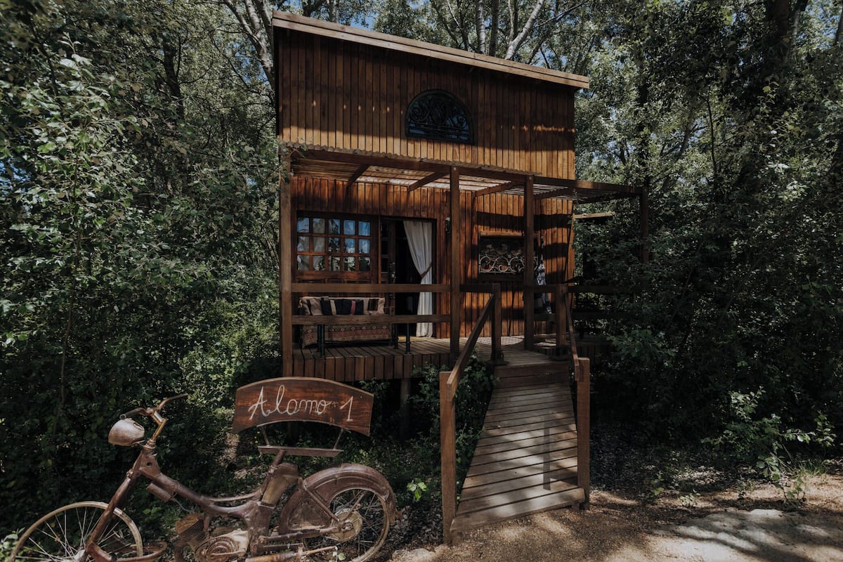 Alamo 1 | Terras