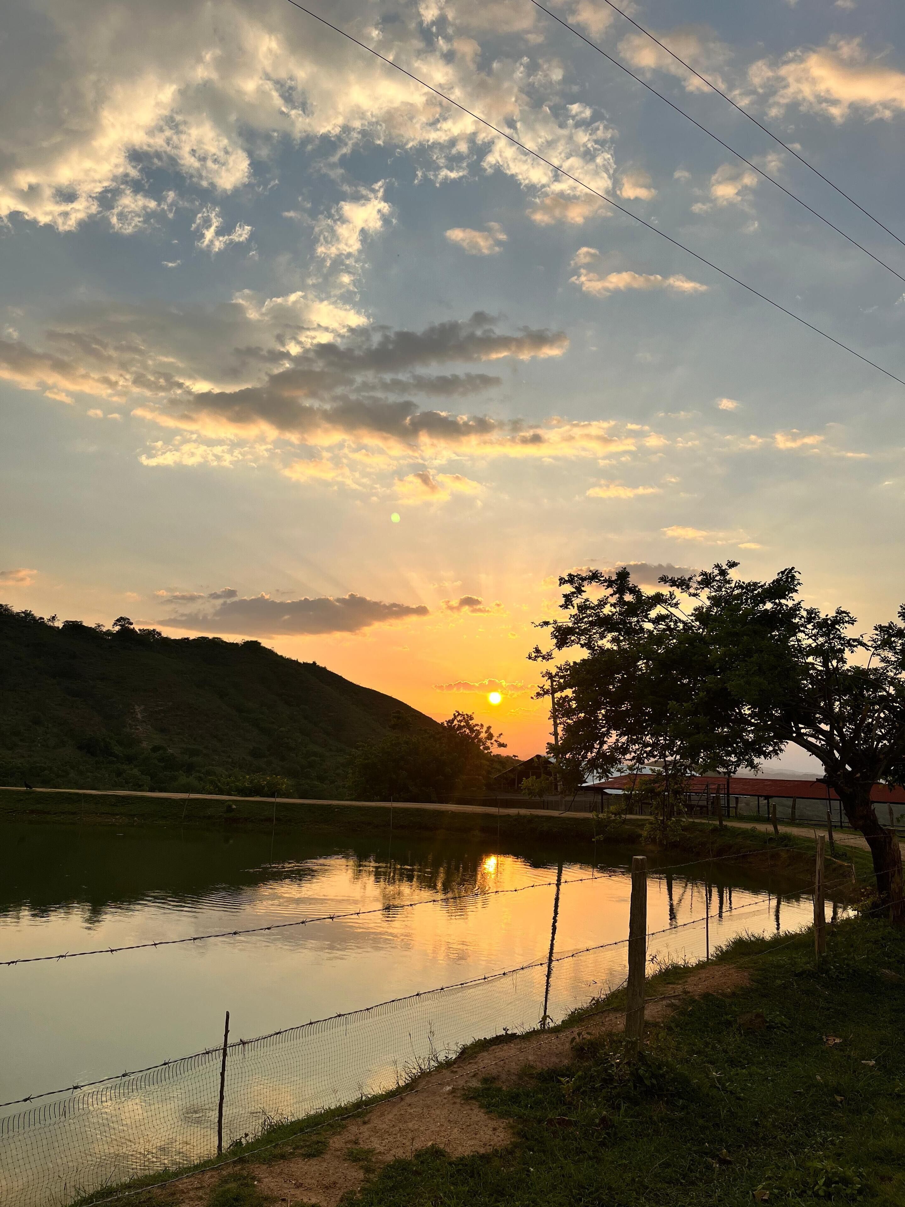 A serene sunset over a calm lake with a fence and trees in the foreground.