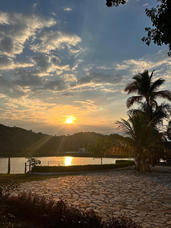 A sunset over a body of water with a palm tree and stone pathway.