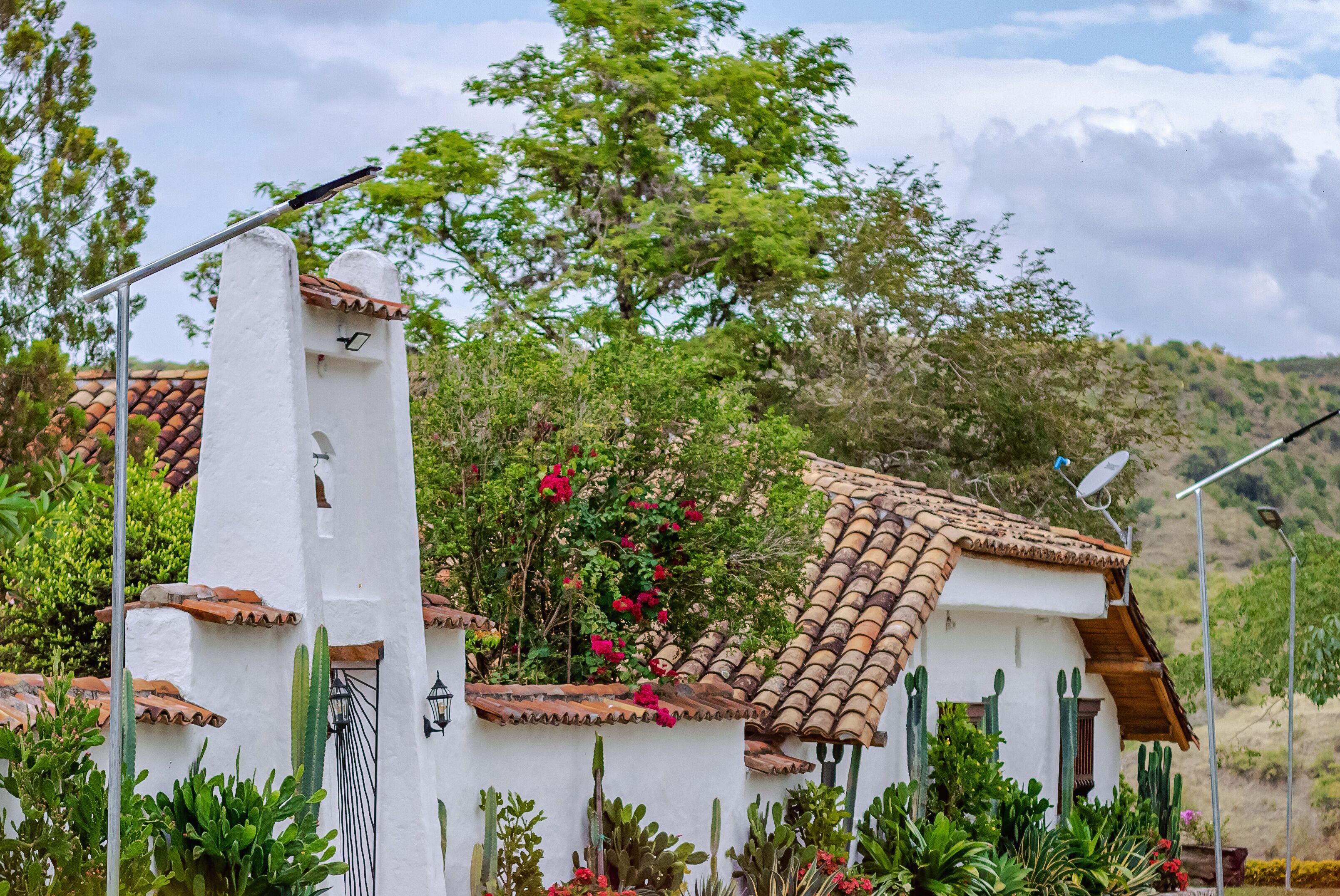 Un edificio blanco con tejado de baldosas, rodeado de follaje y cactus.