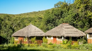 Casas com telhados de palha e paredes de madeira, cercadas por vegetação exuberante e colinas ao fundo.