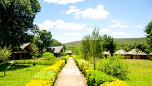 Uma trilha leva a chalés com telhados de palha, rodeados por vegetação exuberante e flores amarelas.