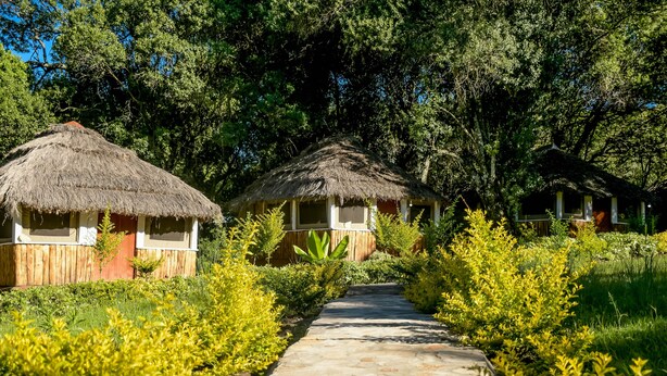 Caminho que leva a cabanas com telhados de palha, cercadas por vegetação exuberante.