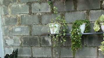 Dagelijks continentaal ontbijt (toeslag)