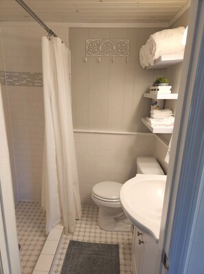 Douche, serviettes fournies, papier de toilette