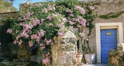 Chambre d hotes atypique en Corse