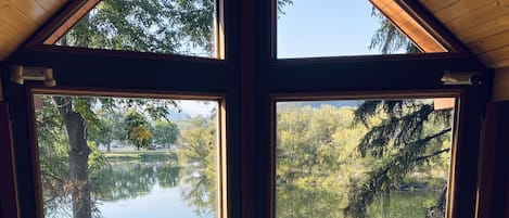 Smart-TV, Kamin, DVD-Player, Bücher