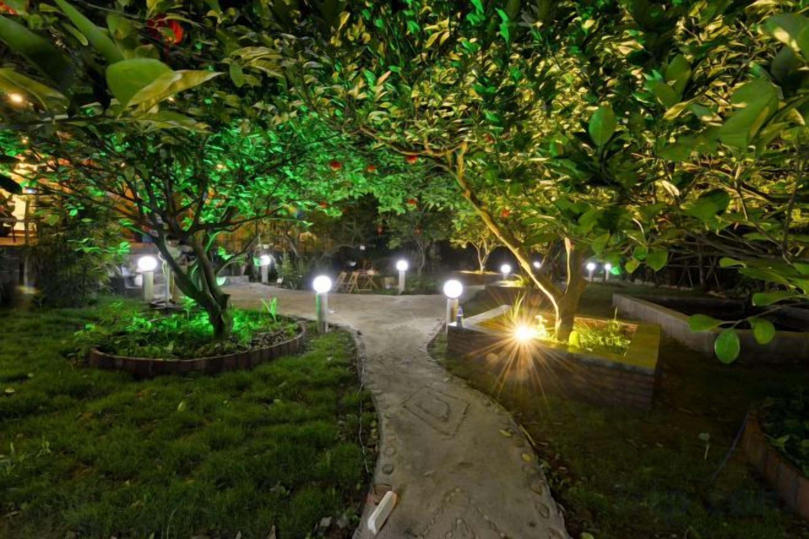 A pathway leading through a garden with illuminated trees and a paved walkway.