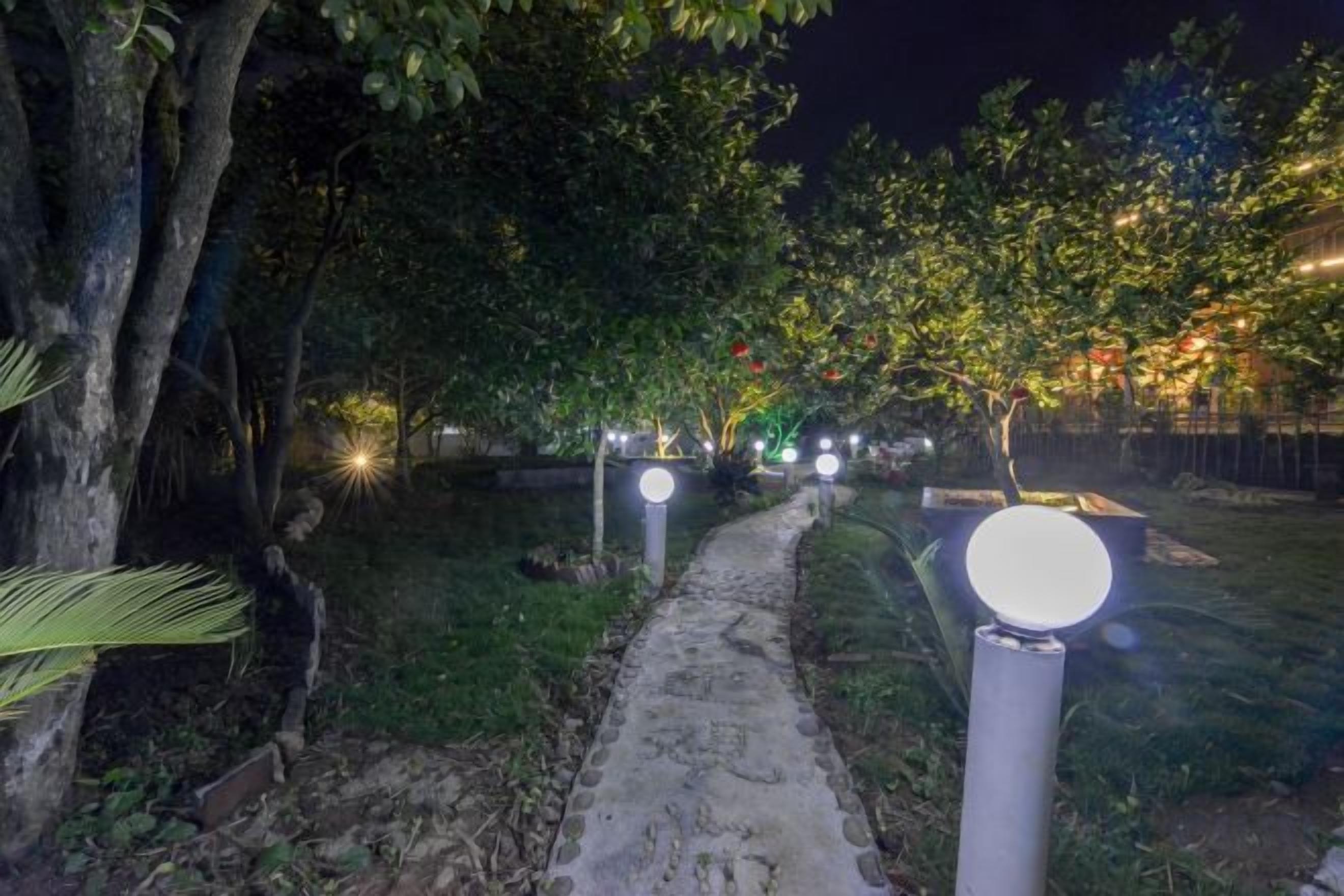 A nighttime pathway with illuminated bollards and trees.