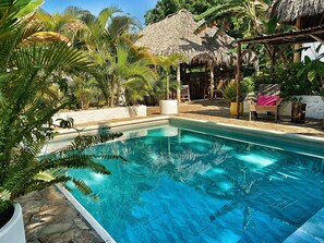 A swimming pool surrounded by tropical plants and a thatched-roof structure. - Cabañas Puesta del Sol (León)