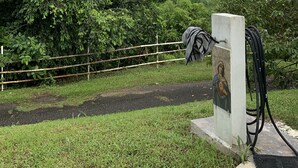 A grassy area with a fence and a utility pole with a picture of a woman. - comfortable, fresh, 2 bedroom in the country (Utuado)