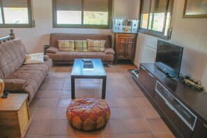 Älytelevisio, takka, videopelejä, DVD-soitin