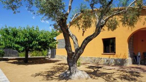 A building with a yellow facade, a tree in front, and a clear blue sky. - Martina House (Sant Julià d'Alfou)