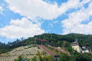 A terraced garden with a red structure on a hillside. - Yunti Hotel (Lvchun)
