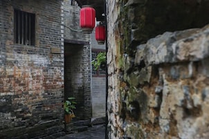 Un callejón estrecho con paredes de ladrillo, una puerta de madera y una planta en maceta.