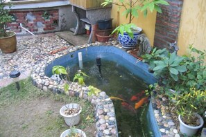 Una pequeña piscina al aire libre con borde de piedra, rodeada de macetas con plantas y un muro de ladrillo.