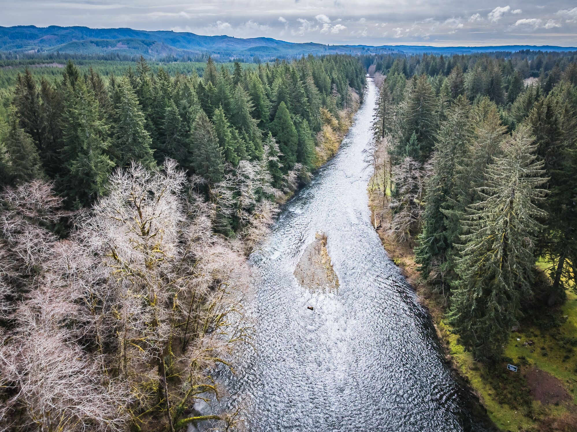 A river running through a dense forest with mountains in the background.