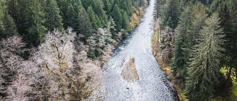 A river running through a dense forest with mountains in the background.