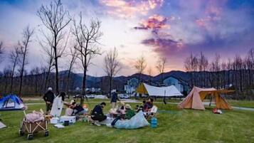 المنطقة المحيطة بالمنشأة