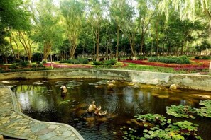 A tranquil pond with ducks, surrounded by lush greenery and flowering plants. - Bayin Guoleng Hotel (Korla)