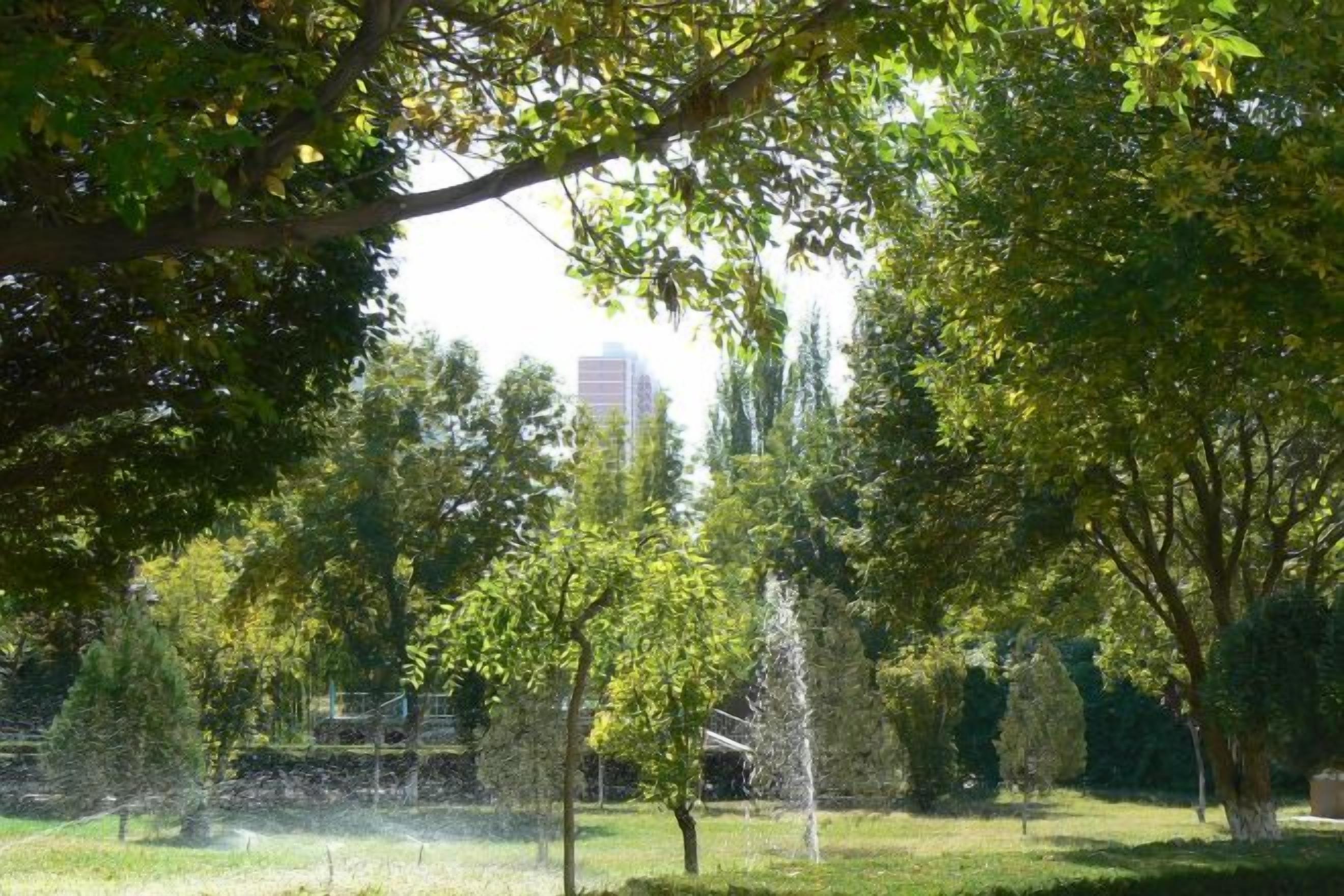 Un parque con árboles, césped y una fuente.