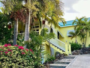 Un edificio amarillo con una escalera que conduce a un balcón, rodeado de vegetación tropical y un sendero de piedra.