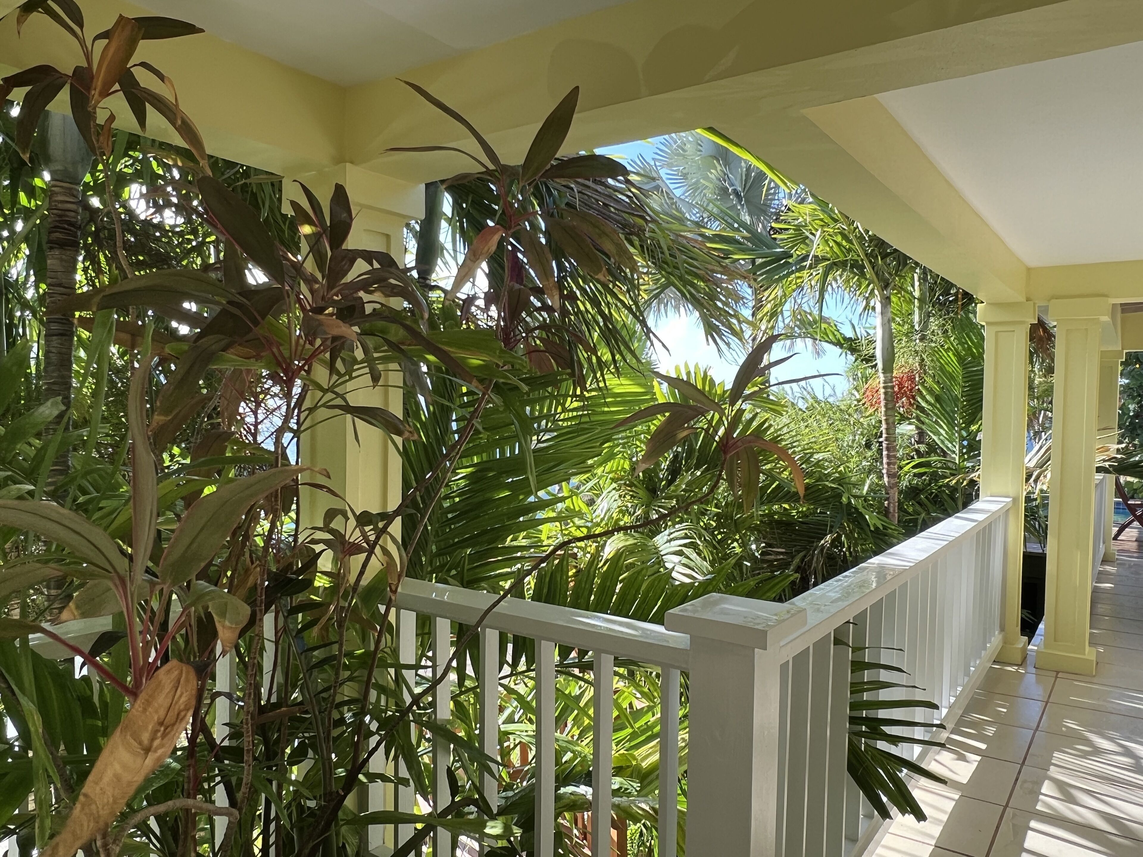 Àrea exterior de l'allotjament