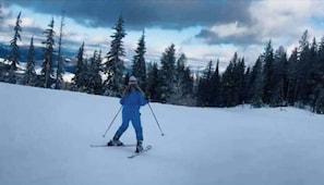 Guests can ski down the mountain through a forest of evergreen trees.