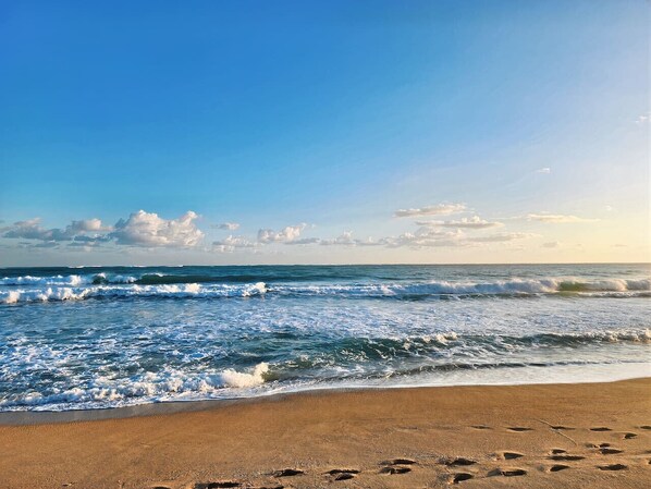 Playa en los alrededores 