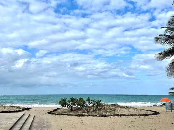 Una playa con un paseo marítimo pavimentado, palmeras y vistas al océano bajo un cielo parcialmente nublado.