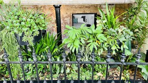 A balcony with a wrought iron railing, potted plants, and a stone wall. - Live like a local in the heart of Surry Hills (Surry Hills)
